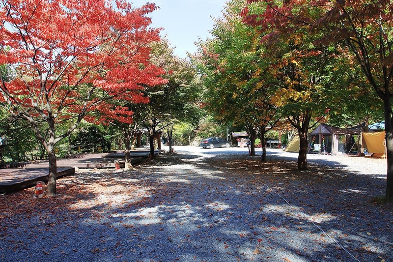 솔티야영장 시설 사진 2