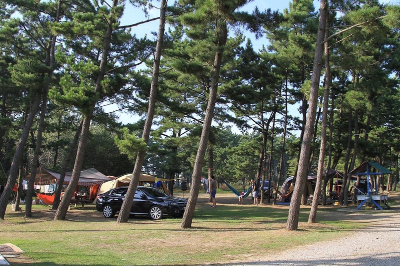 청포대숲속야영장 시설 사진 1