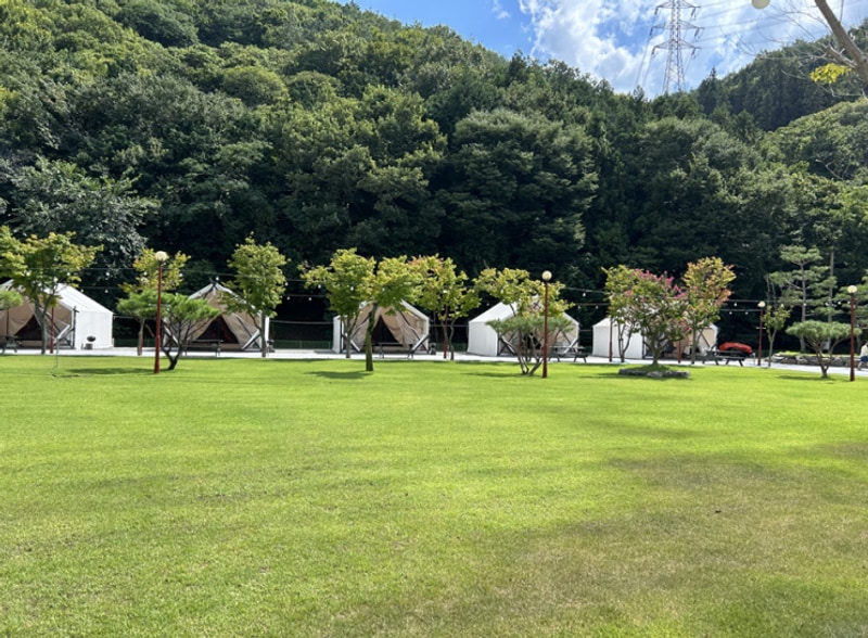 [전남 장성 글램핑] 아기랑 가기좋은 수영장있는 광주 근교...