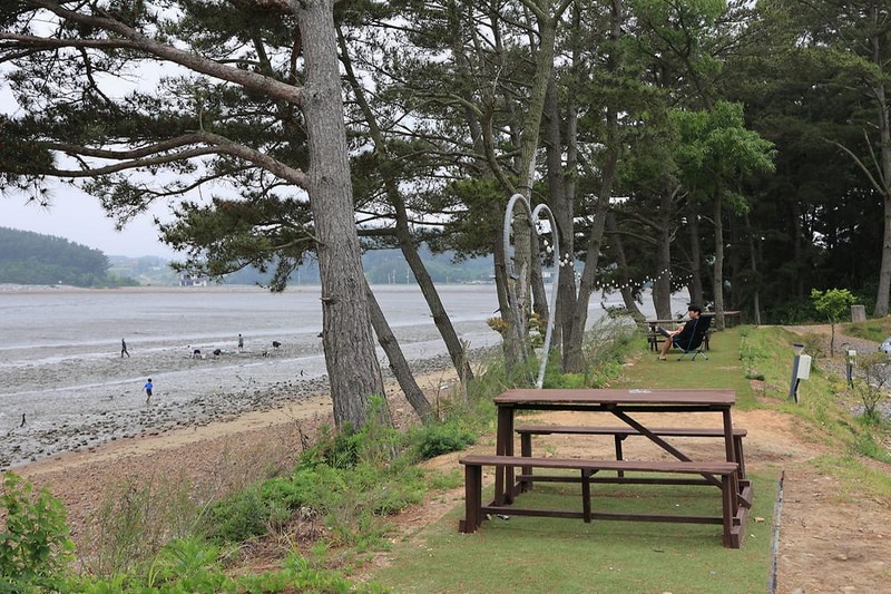 체로키캠핑장 (Cherokeycamp) 시설 사진 10