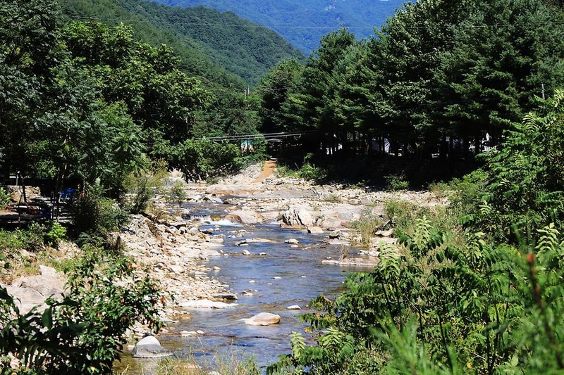 영월가자 펜션&캠핑장 시설 사진 4