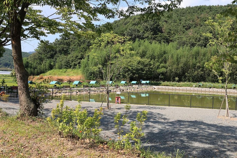 호수랑 오토캠핑장 시설 사진 10