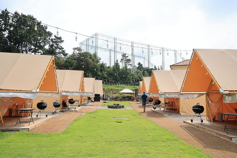 포레스트 도일 시설 사진 2