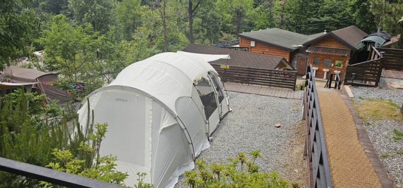 코베아 고스트 플러스 용인 자연숲 캠핑장, 용인 단풍숲 캠핑장...