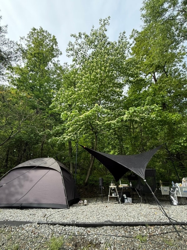 캠핑장추천 부라보캠프 강원도캠핑  산 계곡 바다 애견동반...