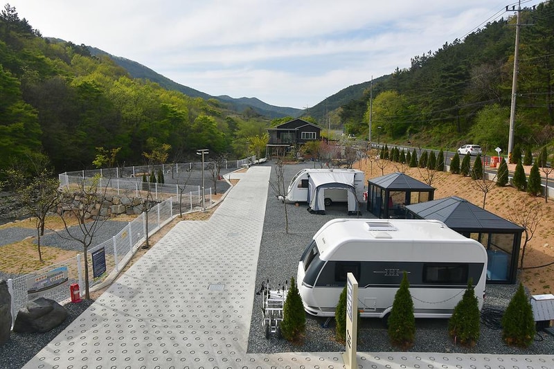 내를 건너서 숲으로 캠핑장 시설 사진 15