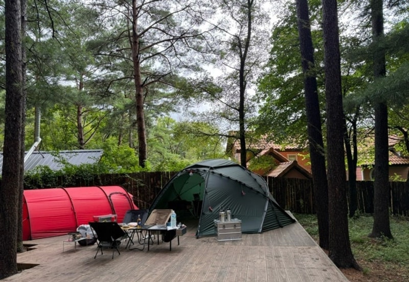 [캠핑] 평창 휘게 포레스트 9월 A존 숲속존 ,키즈존 A13