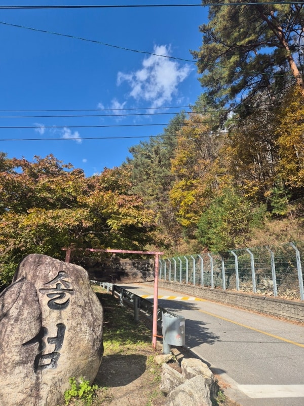 명소 "강원도 평창 솔섬오토캠핑장" 이용후기 : 키즈캠핑장...