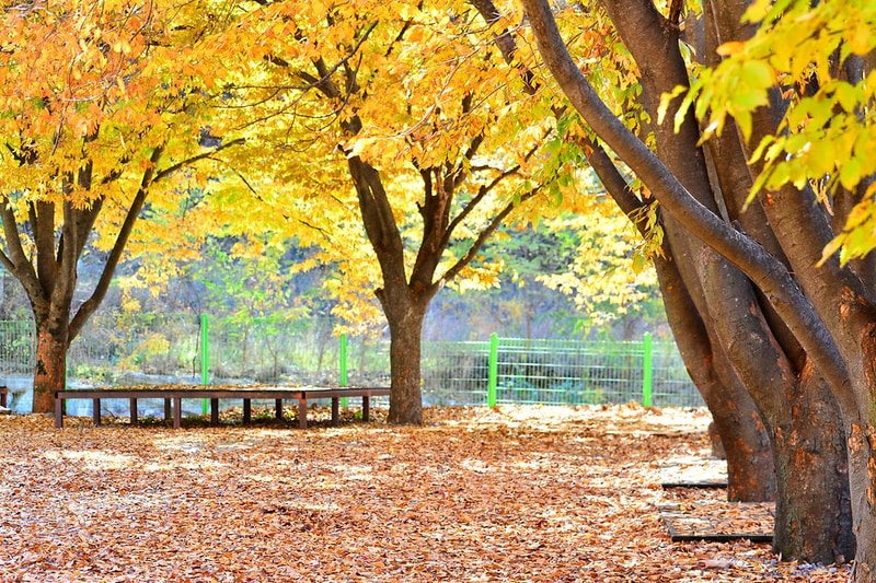 융프라우오토캠핑장 시설 사진 2