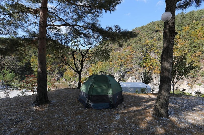 왕피천모래언덕 펜션/캠핑장 시설 사진 17