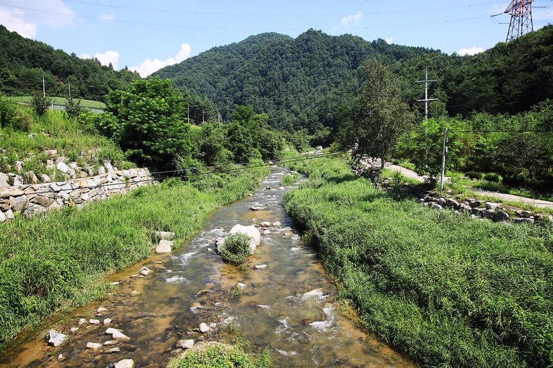 평창 보물섬캠핑장 시설 사진 12