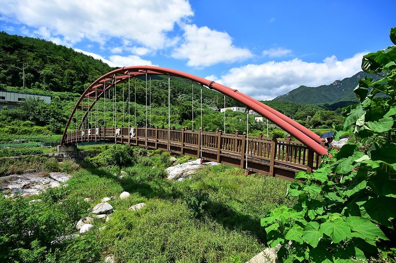 가야권역 소리마실 영농조합법인 시설 사진 8