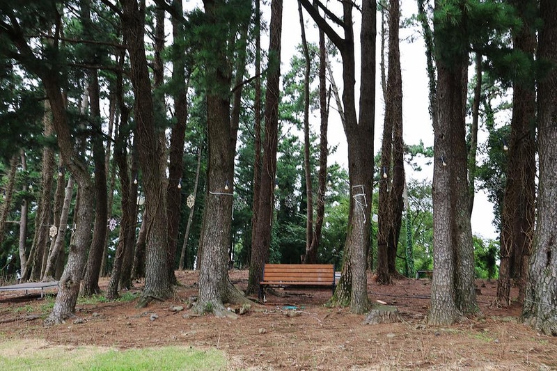 녹고뫼캠핑장 관광농원 시설 사진 16