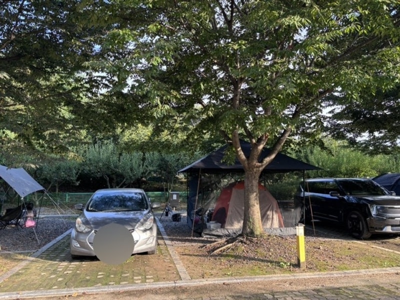 청양 칠갑산 오토캠핑장 재방문(B-13사이트) 후기