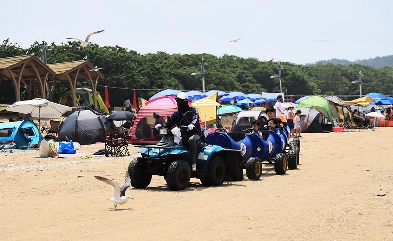 십리포해수욕장 야영장 시설 사진 22