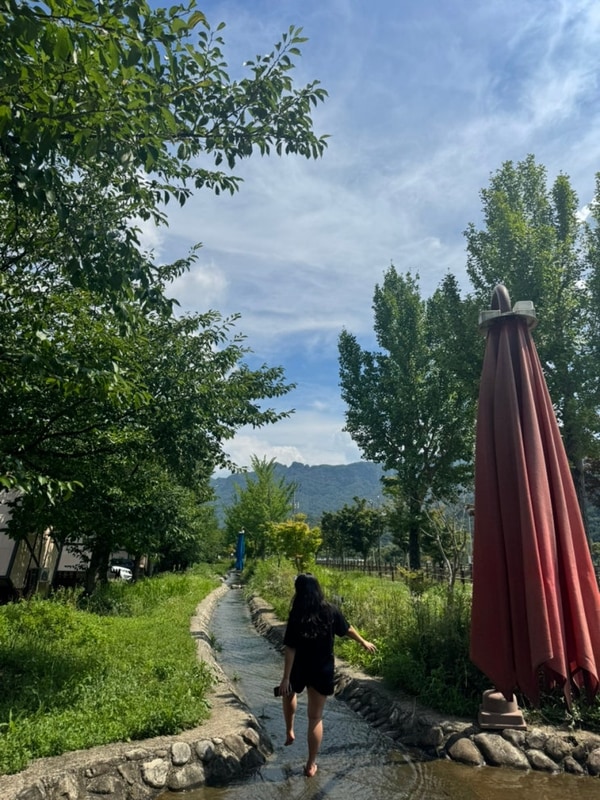 [정읍] 정읍시 내장산 국민 여가 캠핑장 :: 정읍을 다시 돌아보게...