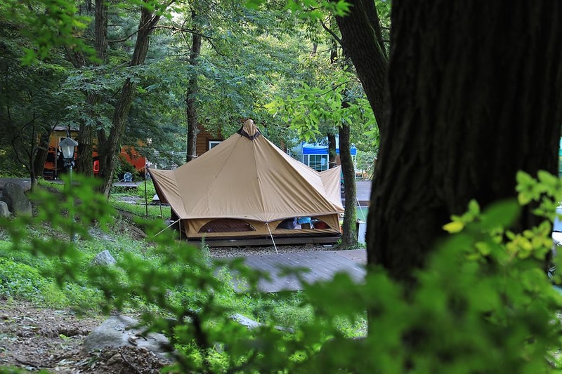 아프리카예술박물관 캠핑장 시설 사진 2