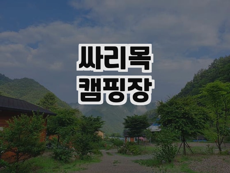 인제에서 만난 자연 힐링의 정석, 싸리목캠핑장 방문 후기