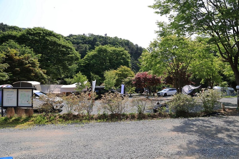 숲에서 놀자 시설 사진 15