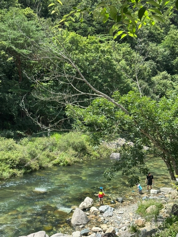 개별화장실캠핑장/ 제천계곡캠핑장추천/ 제천월악아지트캠핑장...