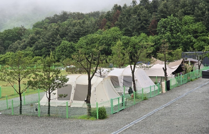 250516 자녀들과 함께하기 좋은 홍천 세이지힐 캠핑