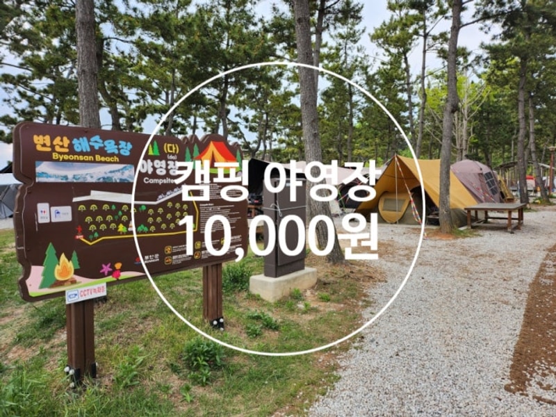 부안군 변산해수욕장 야영장 애견동반 가능 캠핑장 만원의...