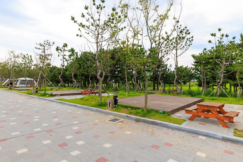 염전해변캠핑장 시설 사진 9