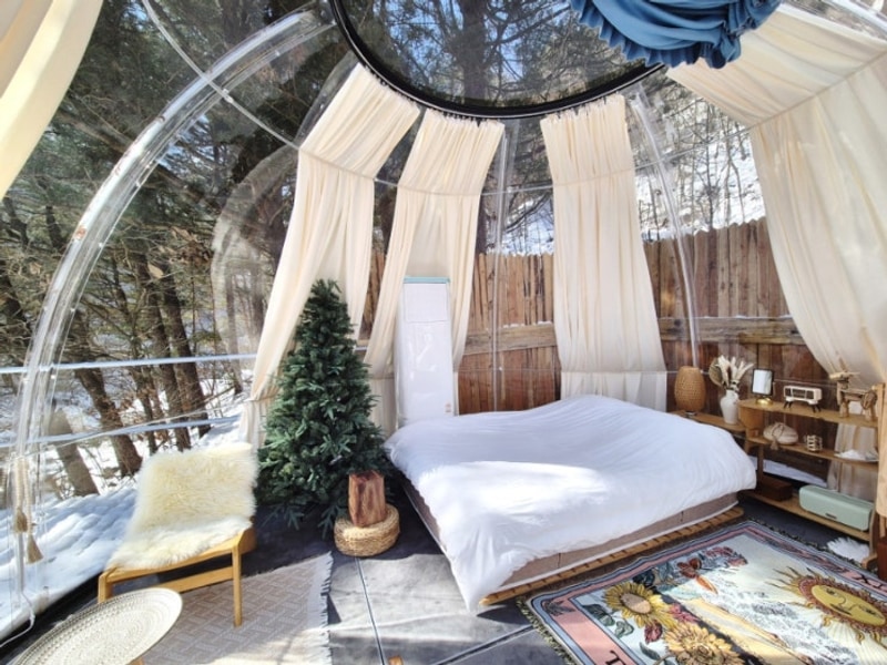 [내돈내산]잊지못할 강원도평창 겨울글램핑  뇌운계곡글램핑...