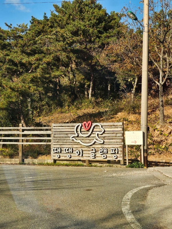 애견동반글램핑 정남진수목원 [장흥 땡땡이글램핑]