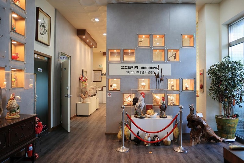 꼬꼬토피아 캠핑 시설 사진 7