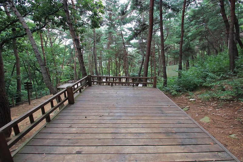 송정 자연휴양림 시설 사진 18