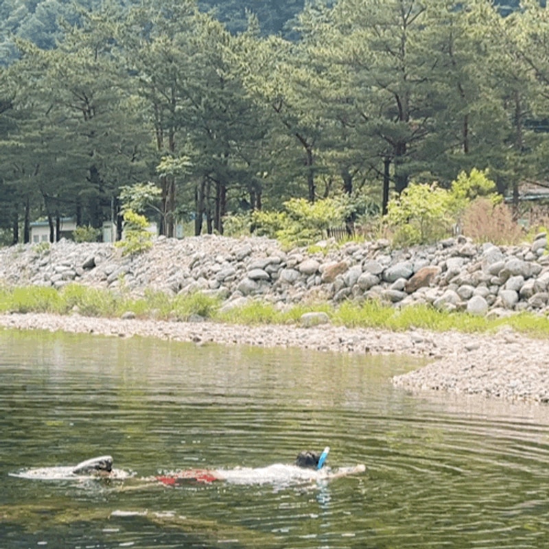 해담구룡령야영장, 맑은 물 에 놀란 강원도 양양 계곡 캠핑...