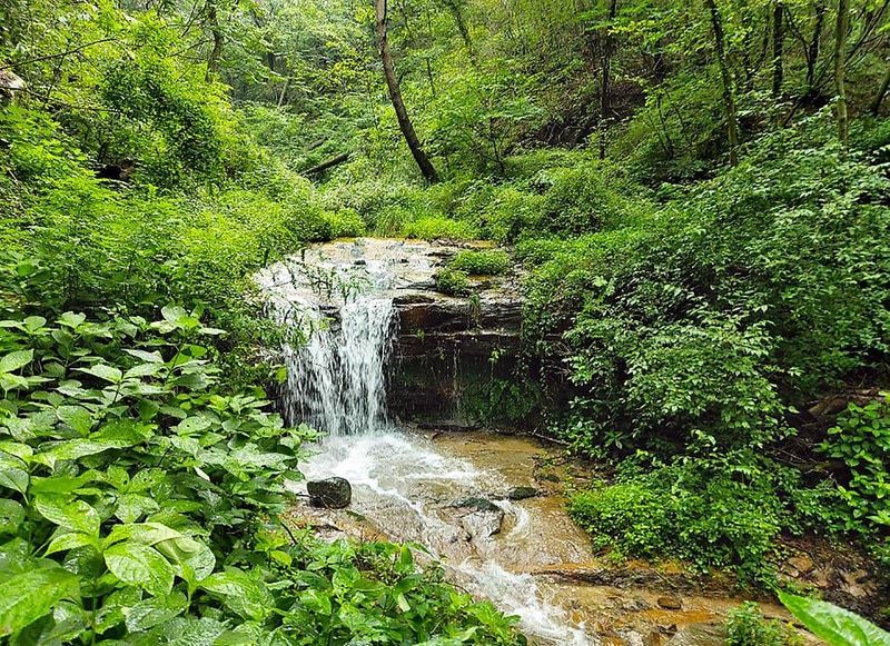 바람숲야영장 시설 사진 6