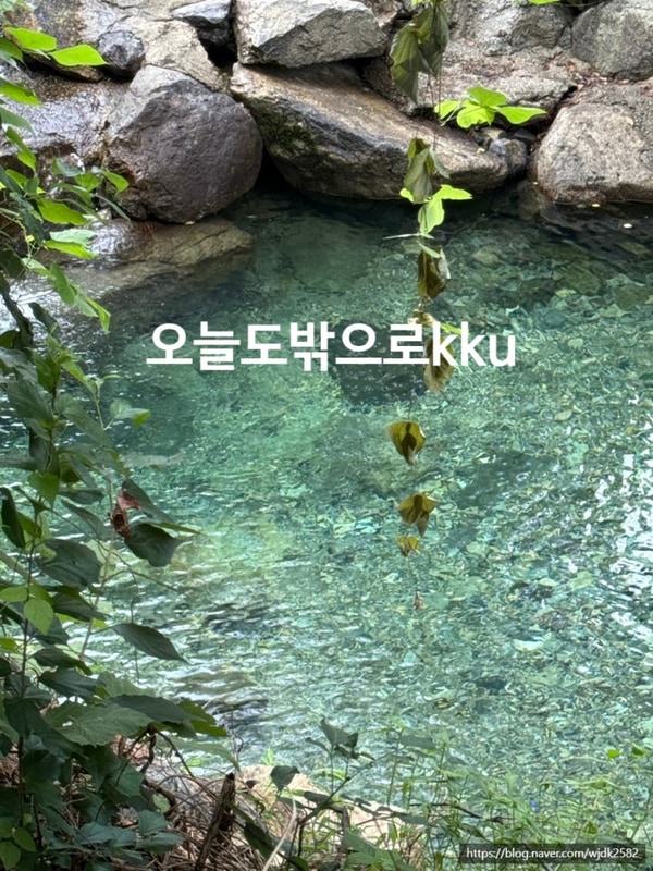 포천 '담터 오지캠핑장' 계곡 물놀이 애견동반 명당자리