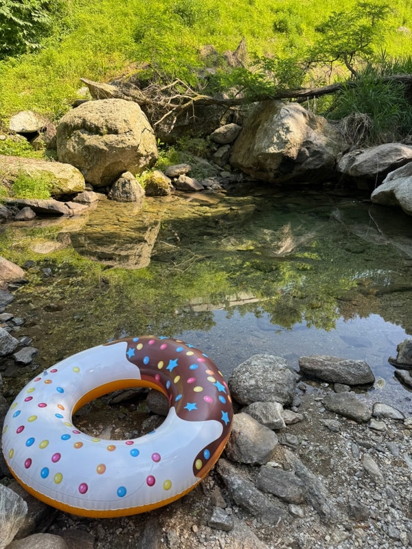 [가평] 나아정 캠핑장 타프존 8번 사이트 (노키즈존, 대형견 동반)