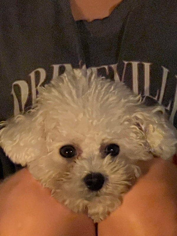 밀양 VIP오토캠핑장