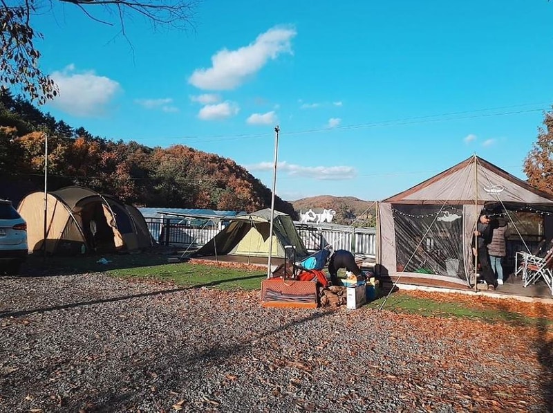 배나무꽃 캠핑장 시설 사진 2