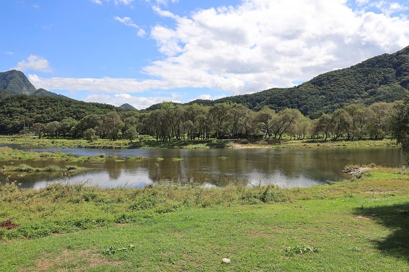 다 그린 시설 사진 18