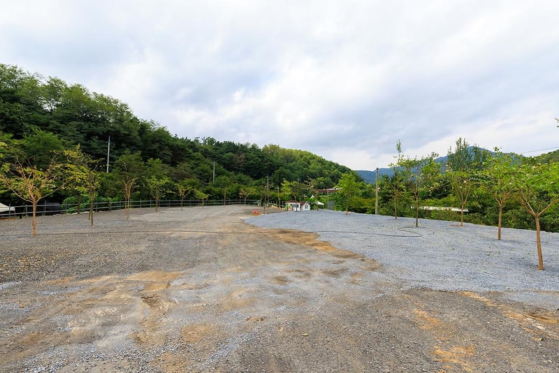 군위 솔밭야영장 시설 사진 9