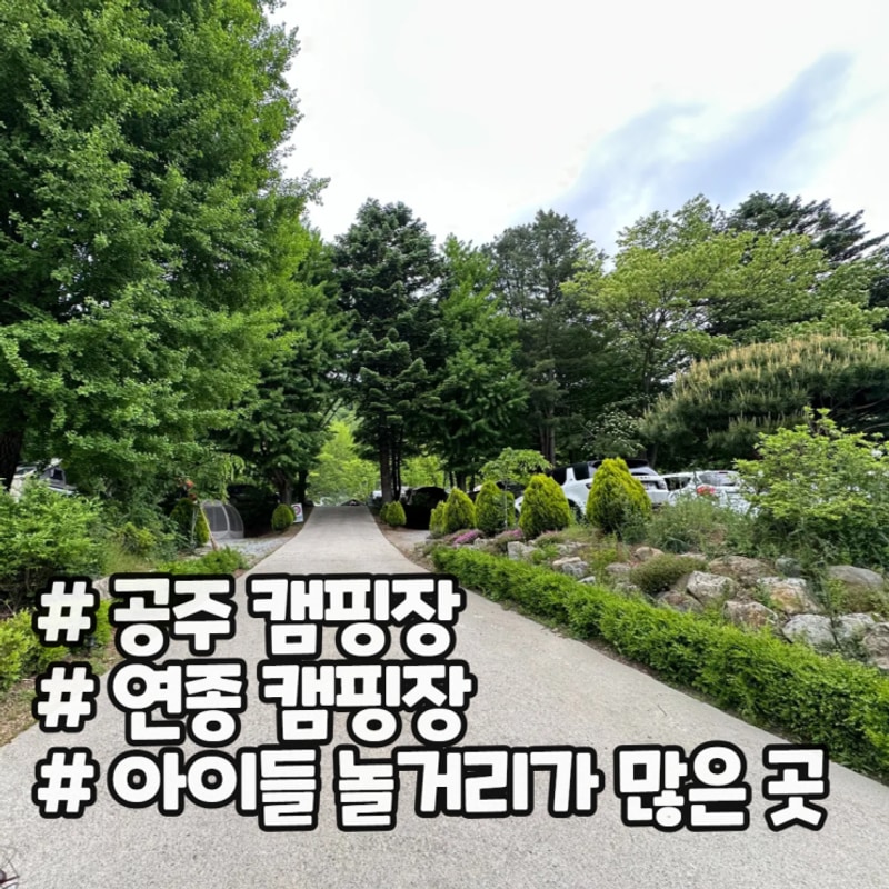 공주 연종 캠핑장 사이트 넓고 아이들 놀 거리가 많은 곳