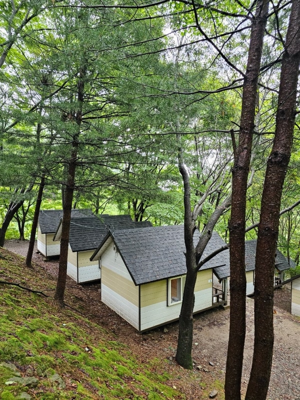 강원도 홍천 가리산자연휴양림 야영장 소형산막 & 야영데크