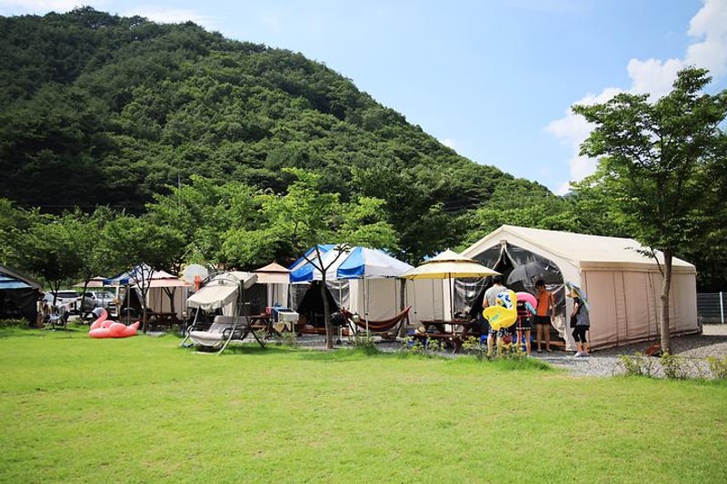 영월 스타 글램핑 대표 사진