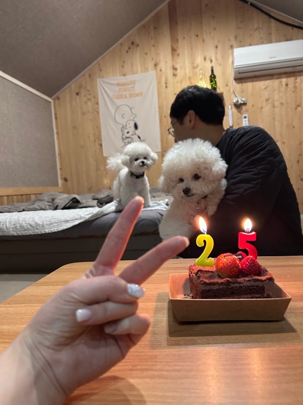 더 즐거운 이야기 많이 만드는 개가족되길, 괴산 개차반 캠핑장