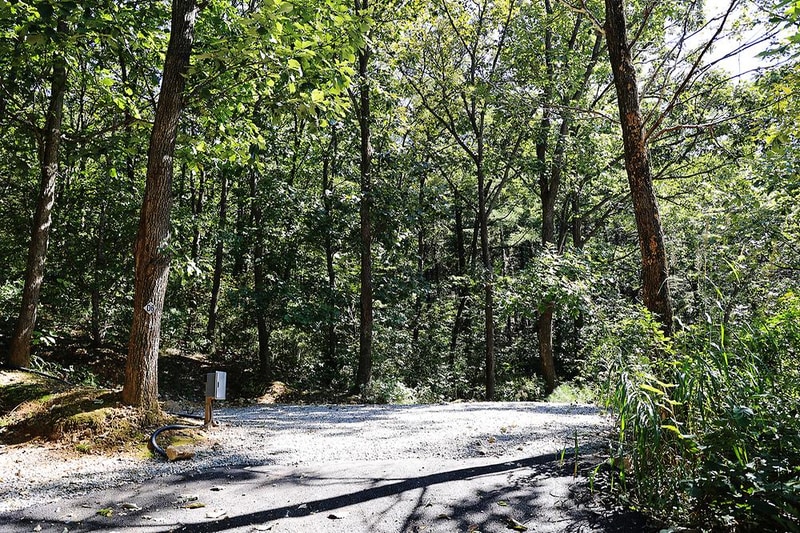 춘천 더숲 캠핑장 시설 사진 8