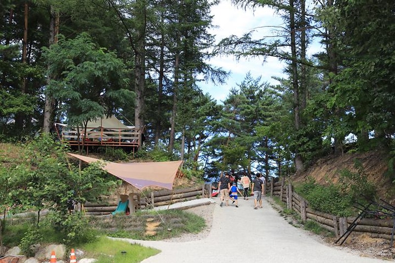 인제캠핑타운 대표 사진