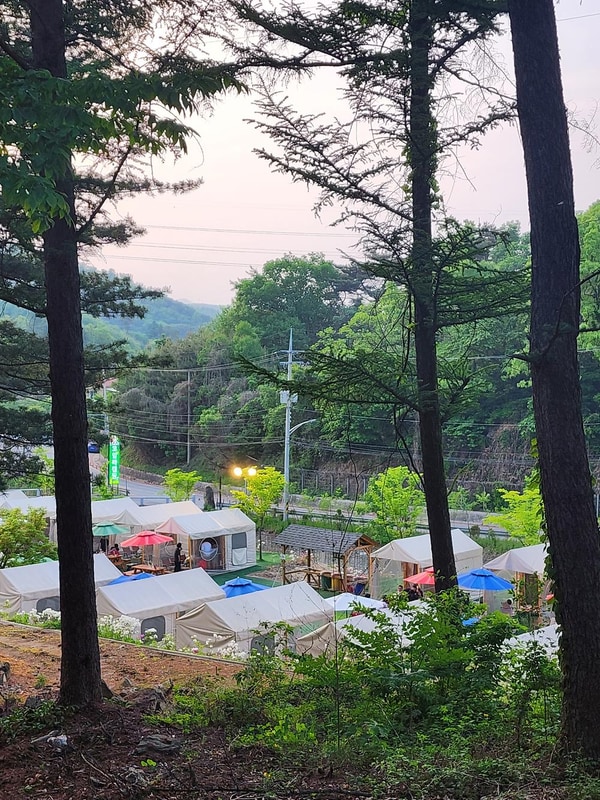 코알라캠핑장 시설 사진 33