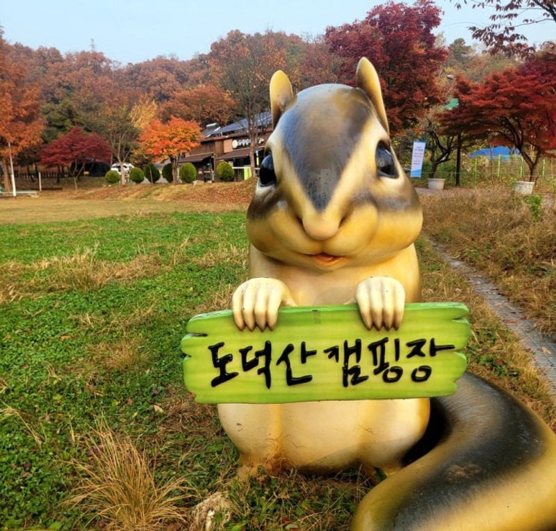 광명 여행 코스로 광명도덕산캠핑장 가족여행 캠핑 초보 캠핑...