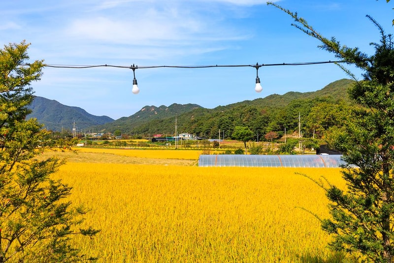 속리산365캠핑장 시설 사진 17