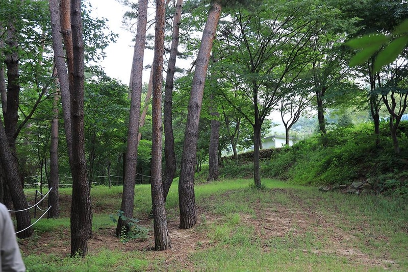 홍천 무네미 별마루 관광농원 시설 사진 6