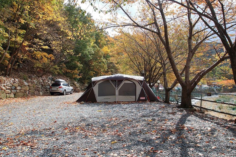 그린하우스캠핑장 시설 사진 14